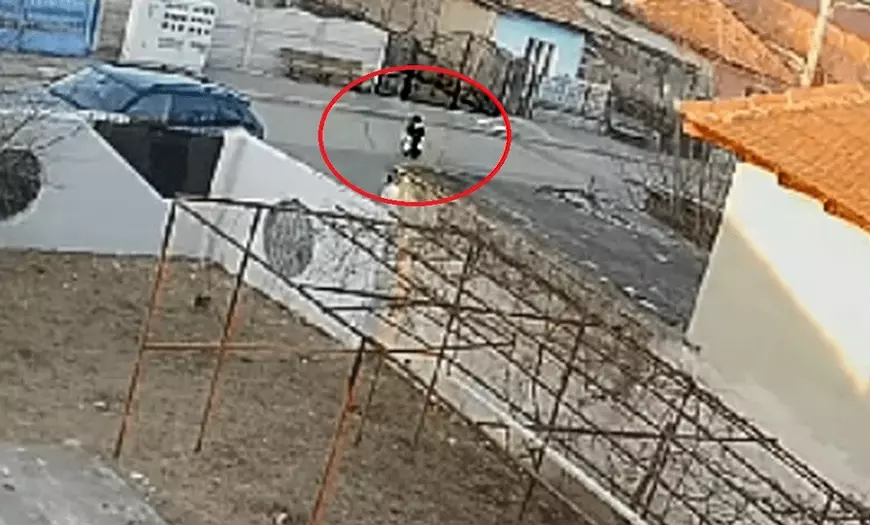 Doi copii morţi din cauza câinilor: reacţii diverse. La Bucureşti, prejudicii de 2.400.000 de euro, în timp ce la Craiova, nimic. Doi copii morţi din cauza câinilor: reacţii diverse. La Bucureşti, prejudicii de 2.400.000 de euro, în timp ce la Craiova, nimic.